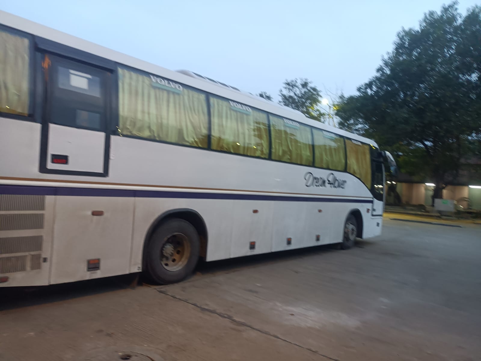 Bus