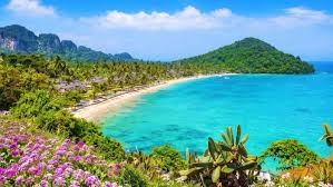 Andaman Tour Packages – Explore Crystal Clear Beaches and Island Paradise - Image 4