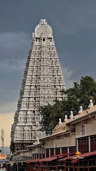 Arunachalam Tour Packages – A Divine Journey to the Sacred Land of Lord Shiva