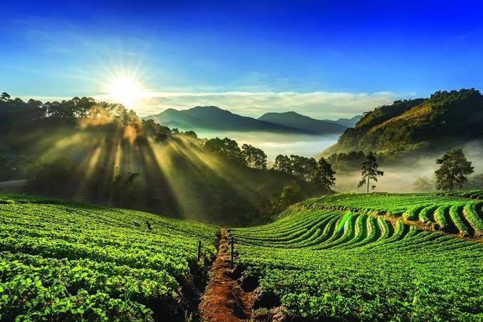 Coorg Tour Packages – Discover the Beauty of Karnataka’s Coffee Paradise - Image 3