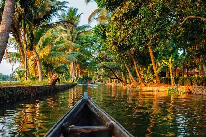 Kerala Tour Packages – Discover God’s Own Country with Comfort and Memorable Experiences - Image 2