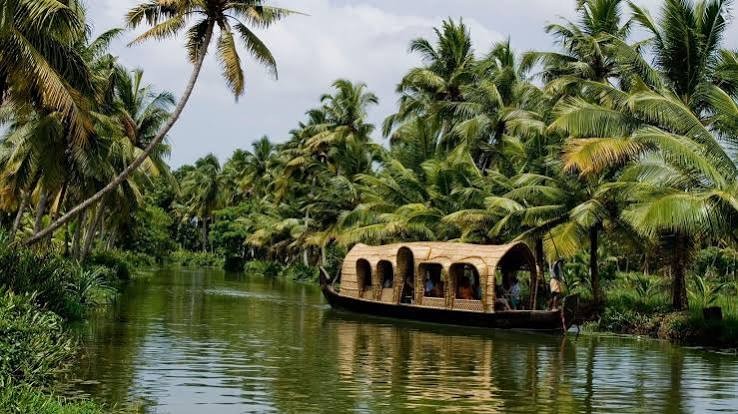 Kerala Tour Packages – Discover God’s Own Country with Comfort and Memorable Experiences - Image 3