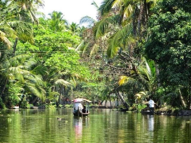 Kerala Tour Packages – Discover God’s Own Country with Comfort and Memorable Experiences - Image 4