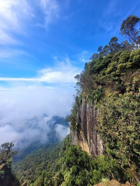 Kodaikanal Tour Packages – Discover the Beauty of the Princess of Hill Stations