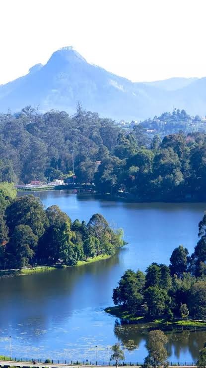 Kodaikanal Tour Packages – Discover the Beauty of the Princess of Hill Stations - Image 4